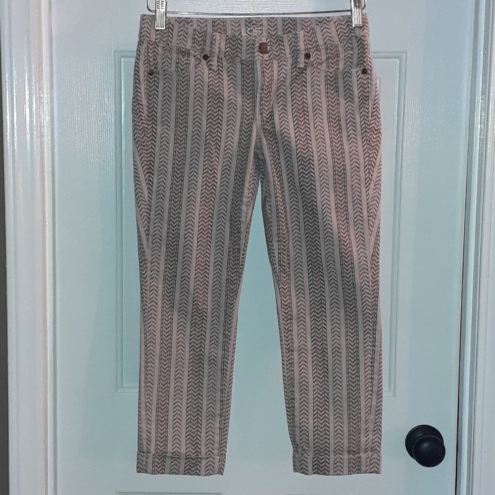 Ann Taylor Loft Cropped Pants Size 27/4P EUC